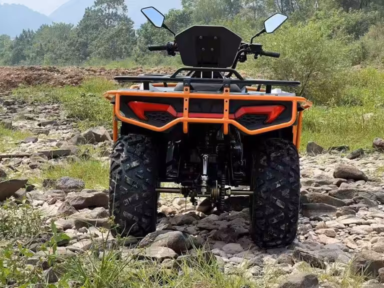 微信图片_20250902101720_13