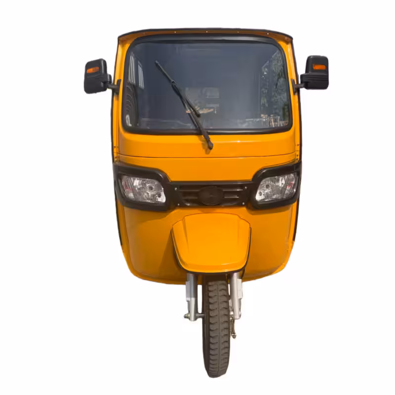 3000W Electric 4-Wheel Utility Cart Adult 4-Person 100km Endurance 60km/h Top Speed 320kg Load