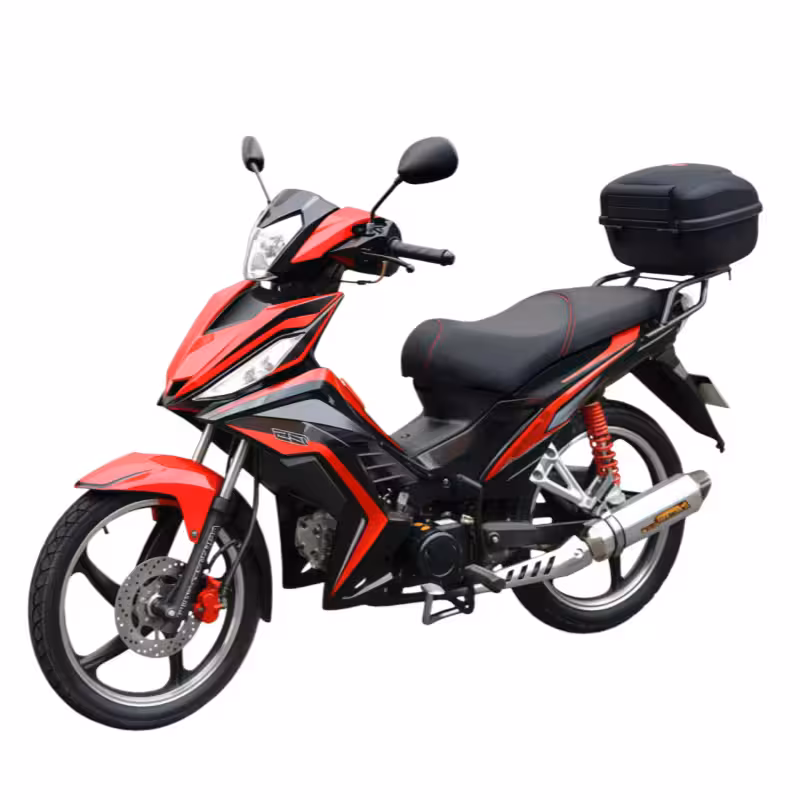 107cc Motorcycle with High-Torque Air-Cooled Zongshen Engine and Dual Disc Brakes
