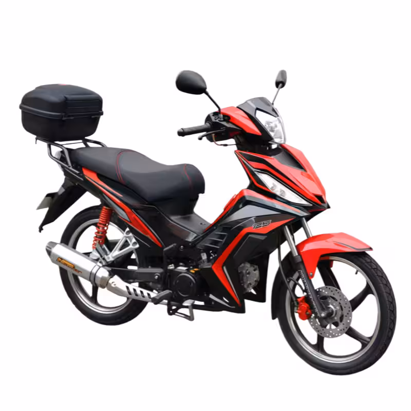 107cc Motorcycle with High-Torque Air-Cooled Zongshen Engine and Dual Disc Brakes
