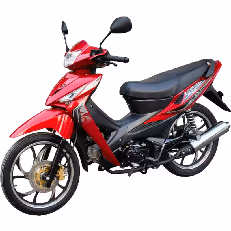 107cc Motorcycle with Air-Cooled Engine, Dual Disc Brakes and 17 inch Tires