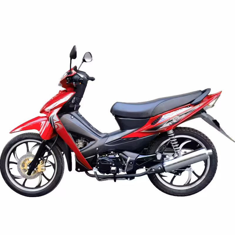 107cc Motorcycle with Air-Cooled Engine, Dual Disc Brakes and 17 inch Tires