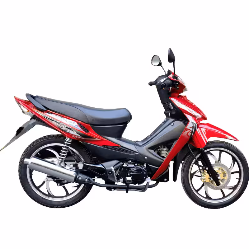 107cc Motorcycle with Air-Cooled Engine, Dual Disc Brakes and 17 inch Tires
