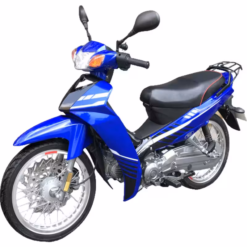 102cc Motorcycle with Air-Cooled Zongshen Engine and Front and Rear Disc Brakes
