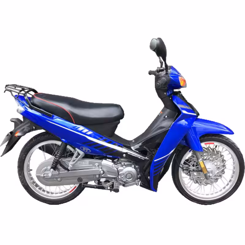 102cc Motorcycle with Air-Cooled Zongshen Engine and Front and Rear Disc Brakes