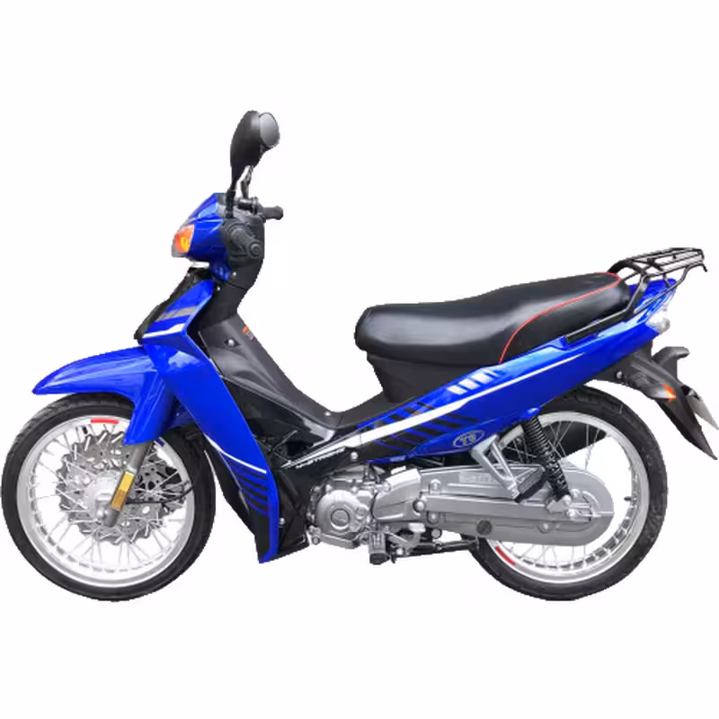 102cc Motorcycle with Air-Cooled Zongshen Engine and Front and Rear Disc Brakes