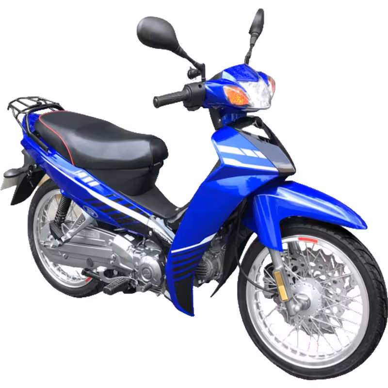 102cc Motorcycle with Air-Cooled Zongshen Engine and Front and Rear Disc Brakes