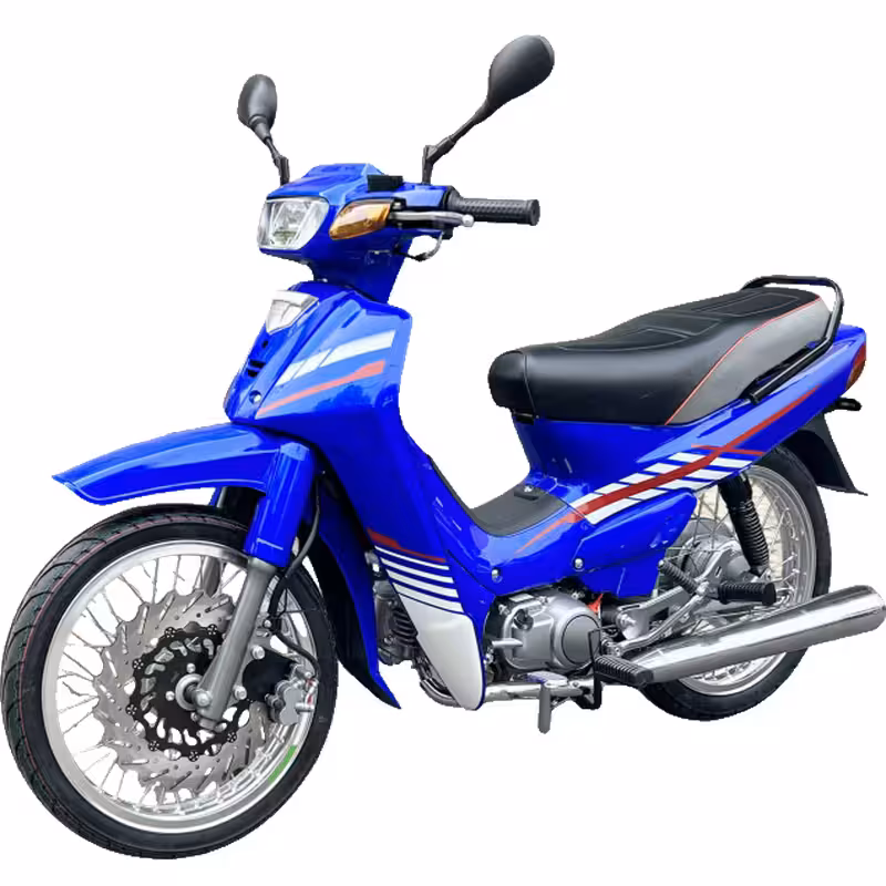 102cc Motorcycle with Air-Cooled Zongshen Engine and Front and Rear Disc Brakes