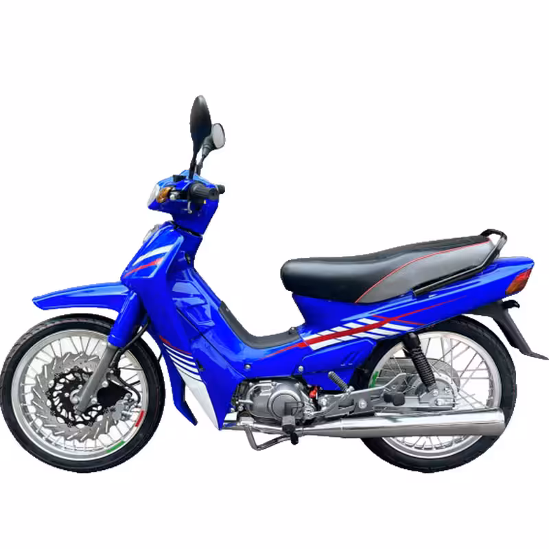 102cc Motorcycle with Air-Cooled Zongshen Engine and Front and Rear Disc Brakes