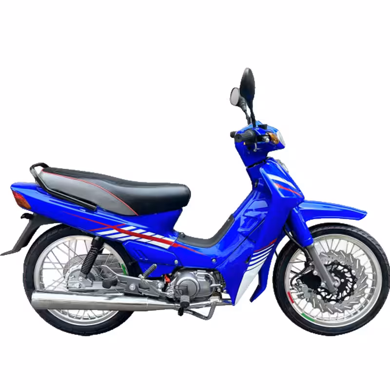 102cc Motorcycle with Air-Cooled Zongshen Engine and Front and Rear Disc Brakes