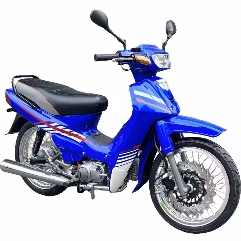 102cc Motorcycle with Air-Cooled Zongshen Engine and Front and Rear Disc Brakes
