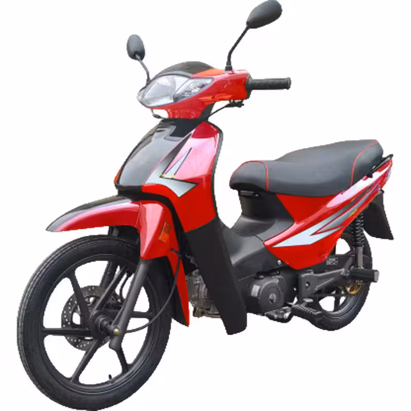 107cc Motorcycle with High-Torque Air-Cooled Zongshen Engine and Dual Disc Brakes