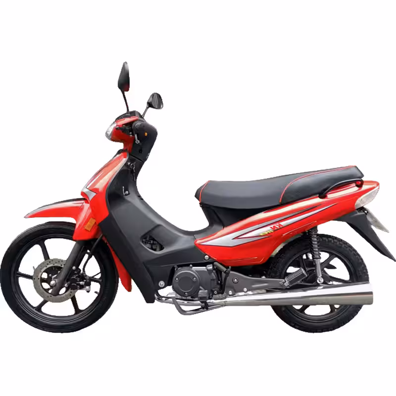107cc Motorcycle with High-Torque Air-Cooled Zongshen Engine and Dual Disc Brakes