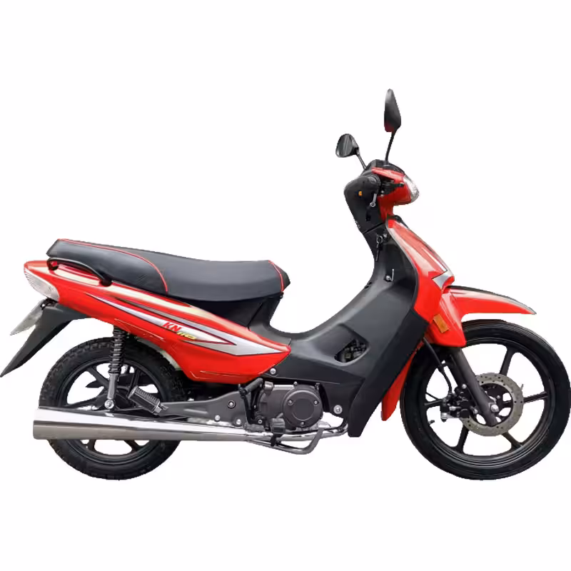107cc Motorcycle with High-Torque Air-Cooled Zongshen Engine and Dual Disc Brakes