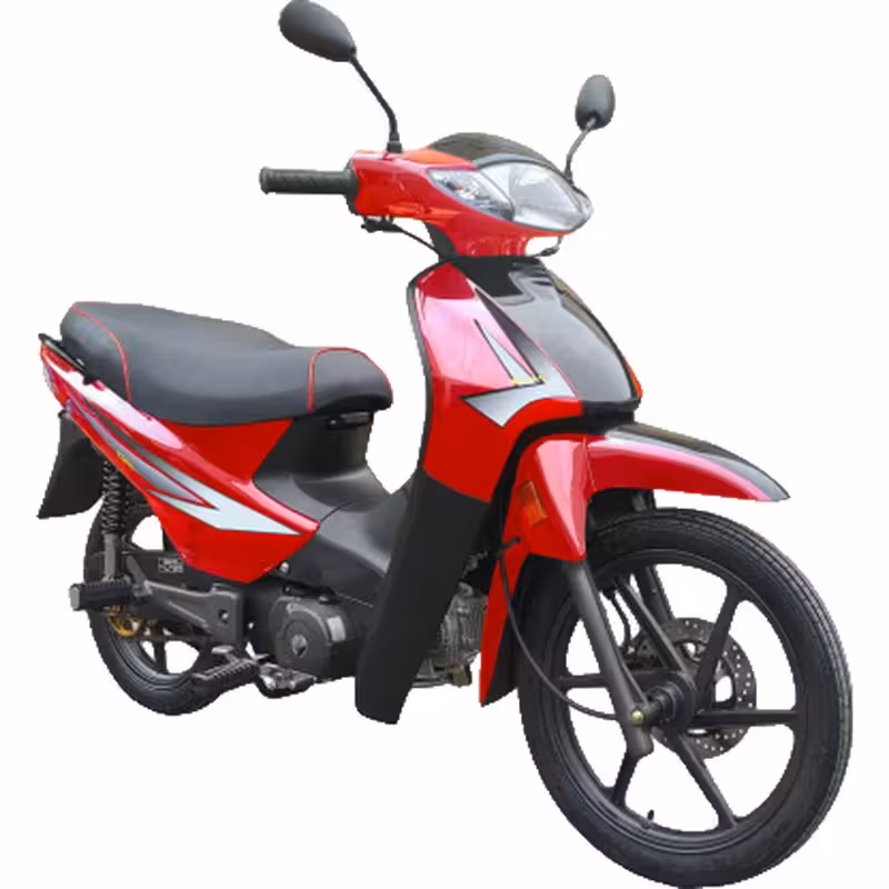 107cc Motorcycle with High-Torque Air-Cooled Zongshen Engine and Dual Disc Brakes