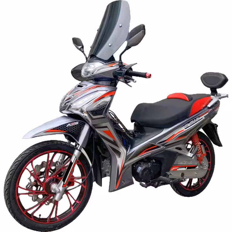 107cc Motorcycle with Air-Cooled Zongshen Engine and Front and Rear Disc Brakes