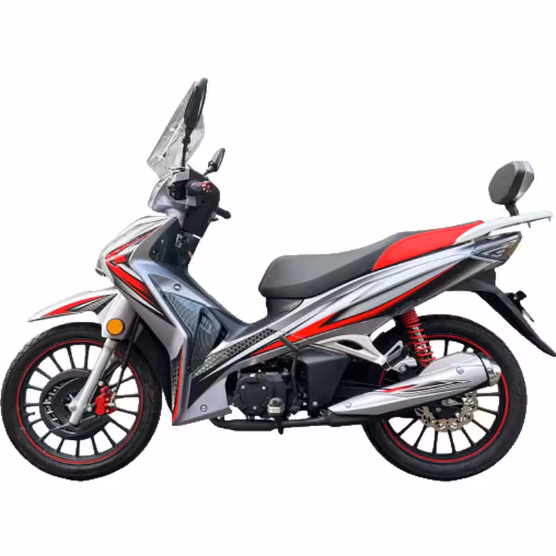 107cc Motorcycle with Air-Cooled Zongshen Engine and Front and Rear Disc Brakes