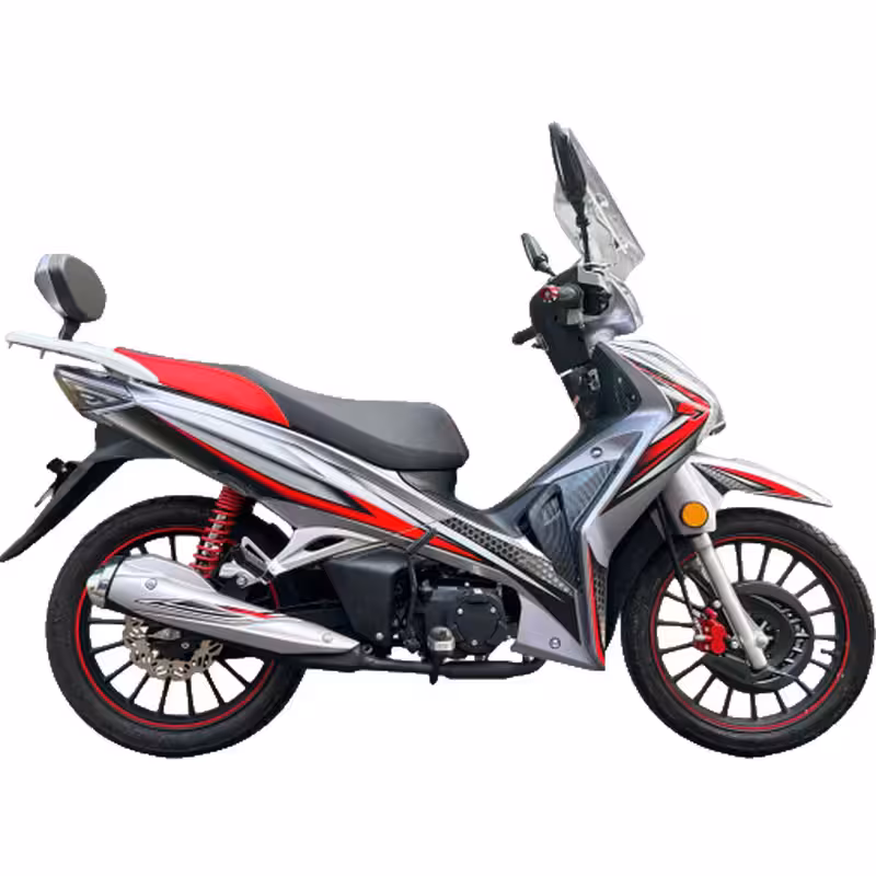 107cc Motorcycle with Air-Cooled Zongshen Engine and Front and Rear Disc Brakes
