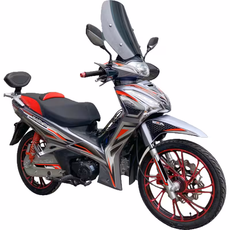 107cc Motorcycle with Air-Cooled Zongshen Engine and Front and Rear Disc Brakes