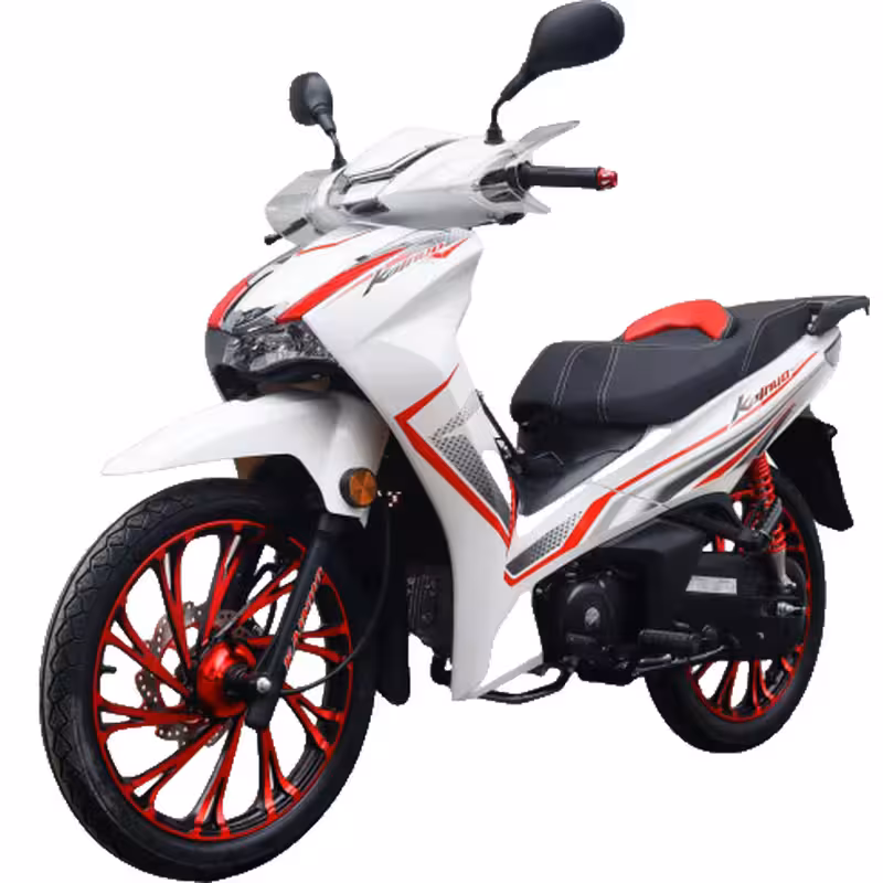 107cc Motorcycle with Air-Cooled Engine, Dual Disc Brakes and 17 inch Tires