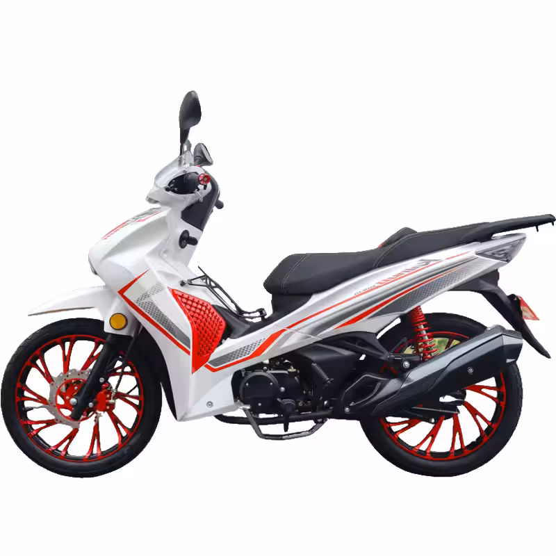 107cc Motorcycle with Air-Cooled Engine, Dual Disc Brakes and 17 inch Tires