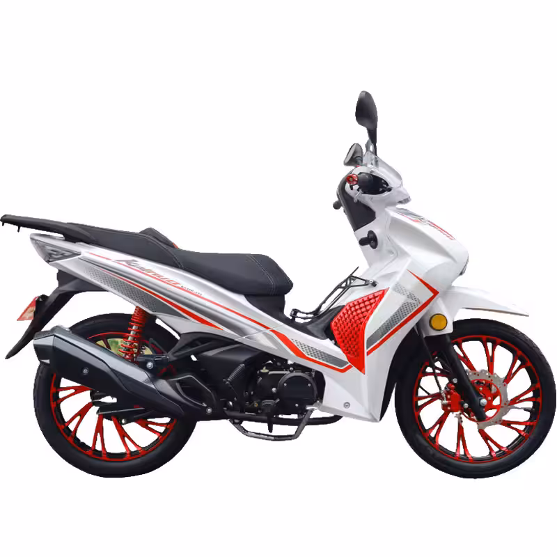 107cc Motorcycle with Air-Cooled Engine, Dual Disc Brakes and 17 inch Tires