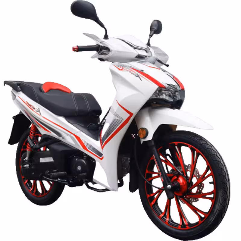 107cc Motorcycle with Air-Cooled Engine, Dual Disc Brakes and 17 inch Tires