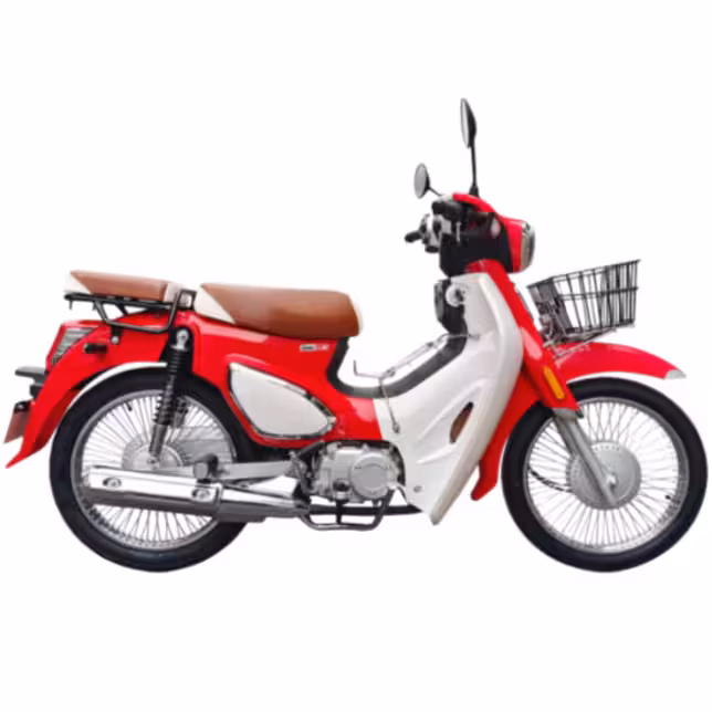107cc Motorcycle with Loncin Oil-Cooled Engine and Dual Disc Brakes