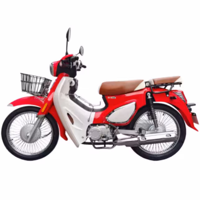 107cc Motorcycle with Loncin Oil-Cooled Engine and Dual Disc Brakes