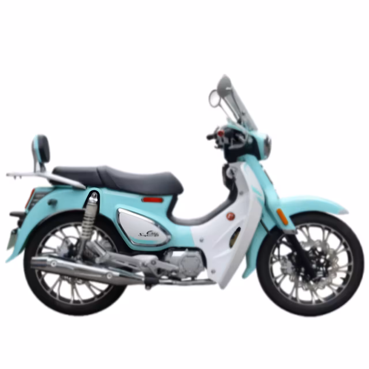107cc Motorcycle with High-Torque Air-Cooled Zongshen Engine and Dual Disc Brakes