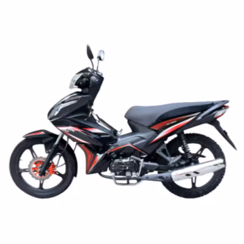 107cc Motorcycle with Air-Cooled Zongshen Engine and Front and Rear Disc Brakes