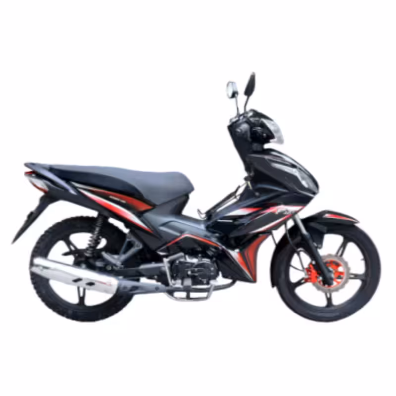 107cc Motorcycle with Air-Cooled Zongshen Engine and Front and Rear Disc Brakes