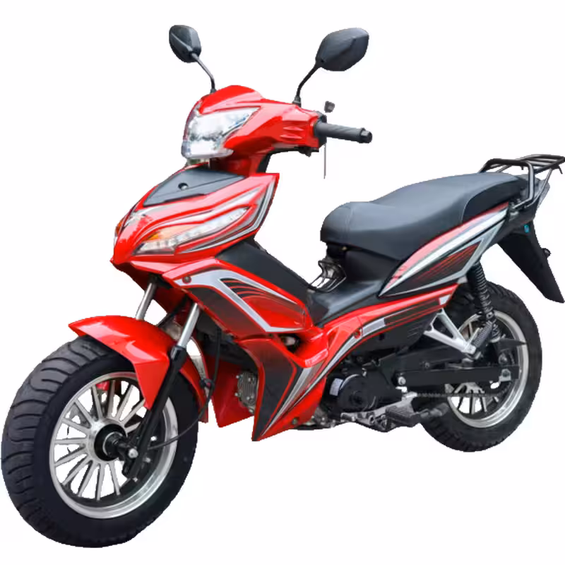 107cc Motorcycle with Air-Cooled Zongshen Engine and Front and Rear Disc Brakes