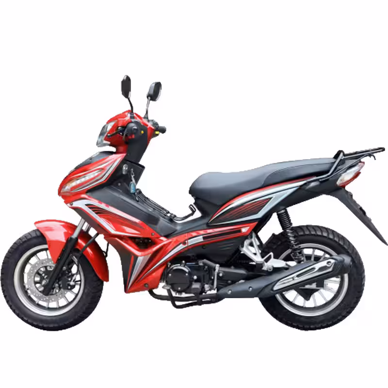 107cc Motorcycle with Air-Cooled Zongshen Engine and Front and Rear Disc Brakes