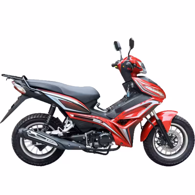 107cc Motorcycle with Air-Cooled Zongshen Engine and Front and Rear Disc Brakes