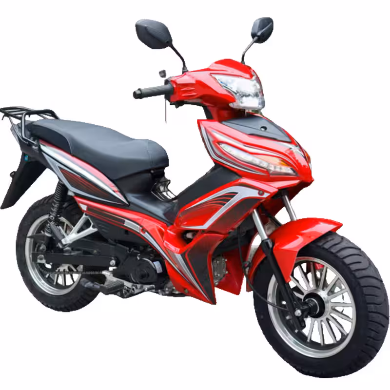107cc Motorcycle with Air-Cooled Zongshen Engine and Front and Rear Disc Brakes