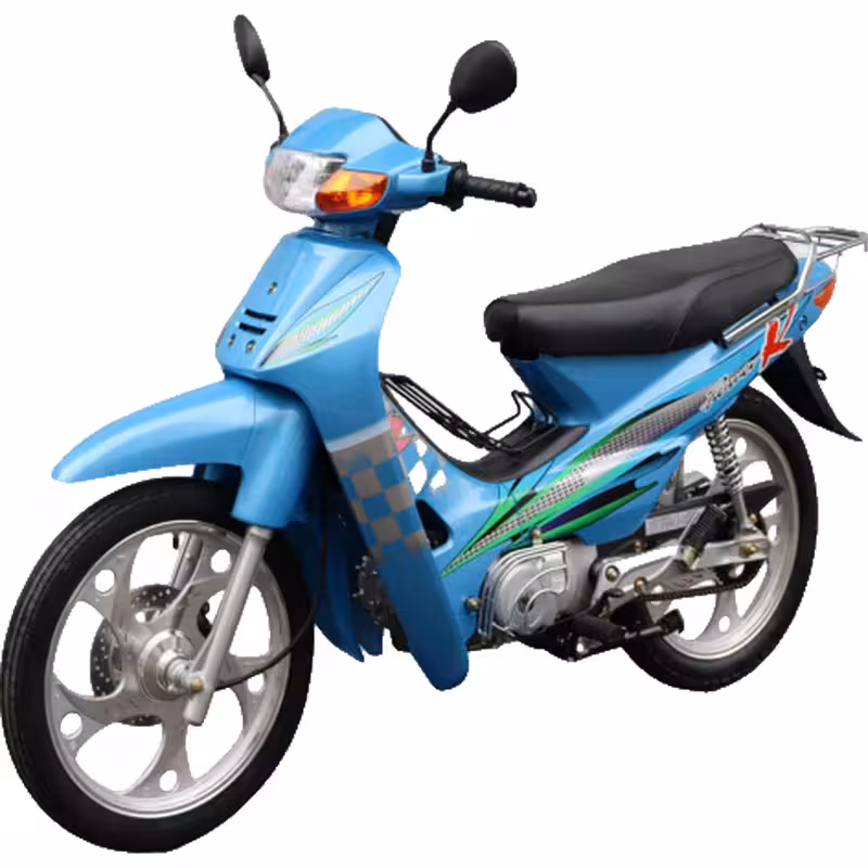 107cc Motorcycle with Air-Cooled Zongshen Engine and Front and Rear Disc Brakes