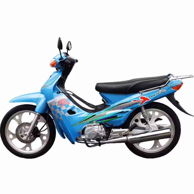 107cc Motorcycle with Air-Cooled Zongshen Engine and Front and Rear Disc Brakes