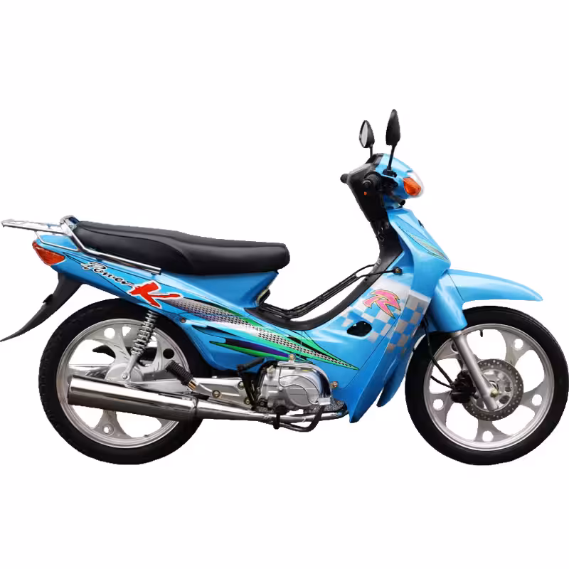 107cc Motorcycle with Air-Cooled Zongshen Engine and Front and Rear Disc Brakes