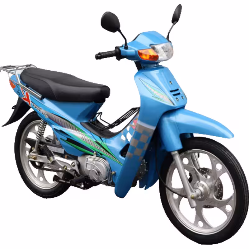 107cc Motorcycle with Air-Cooled Zongshen Engine and Front and Rear Disc Brakes