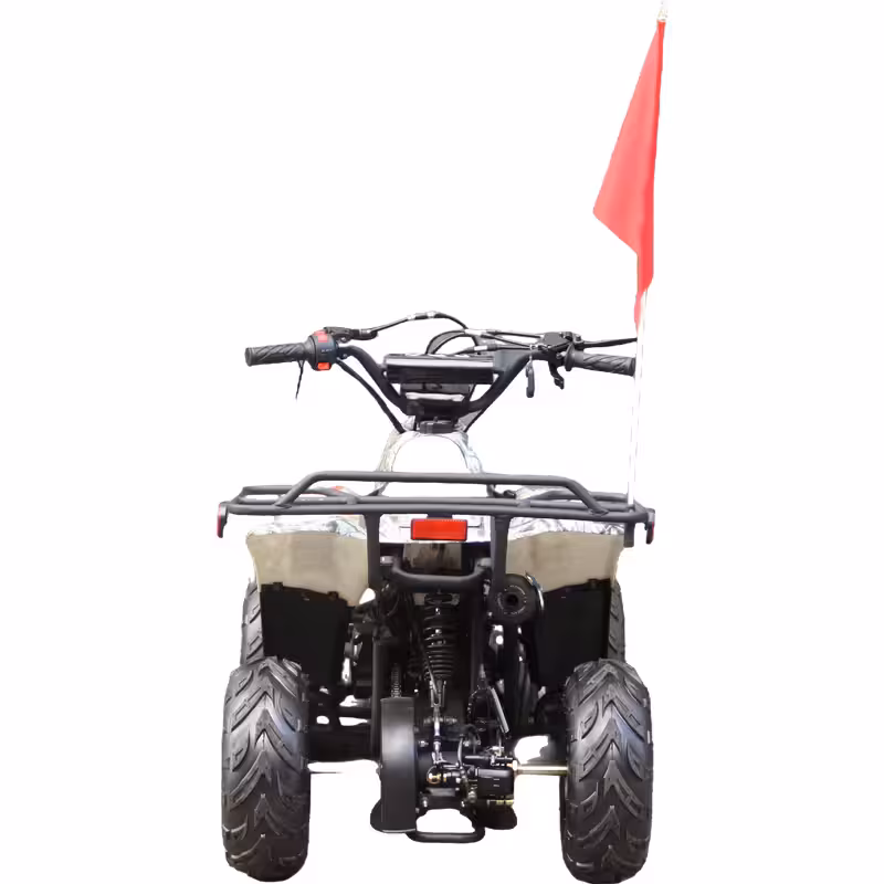110cc Gasoline ATV Front Drum Rear Disc Brakes 50km/h Max Speed 2.2L Fuel Tank
