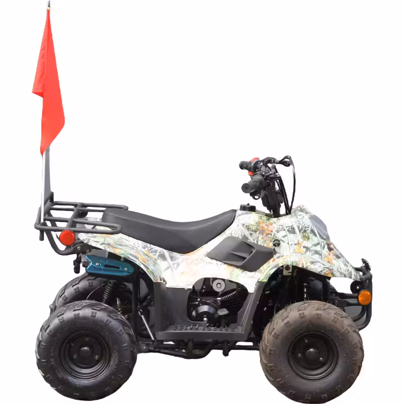 110cc Gasoline ATV Front Drum Rear Disc Brakes 50km/h Max Speed 2.2L Fuel Tank