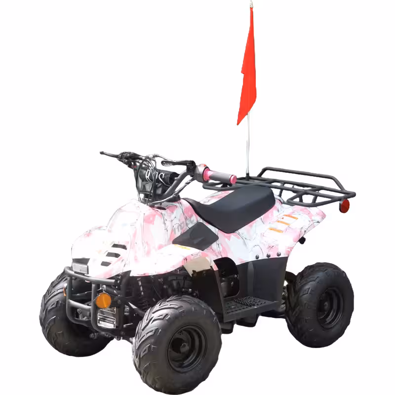 110cc Gasoline ATV Front Drum Rear Disc Brakes 50km/h Max Speed 2.2L Fuel Tank