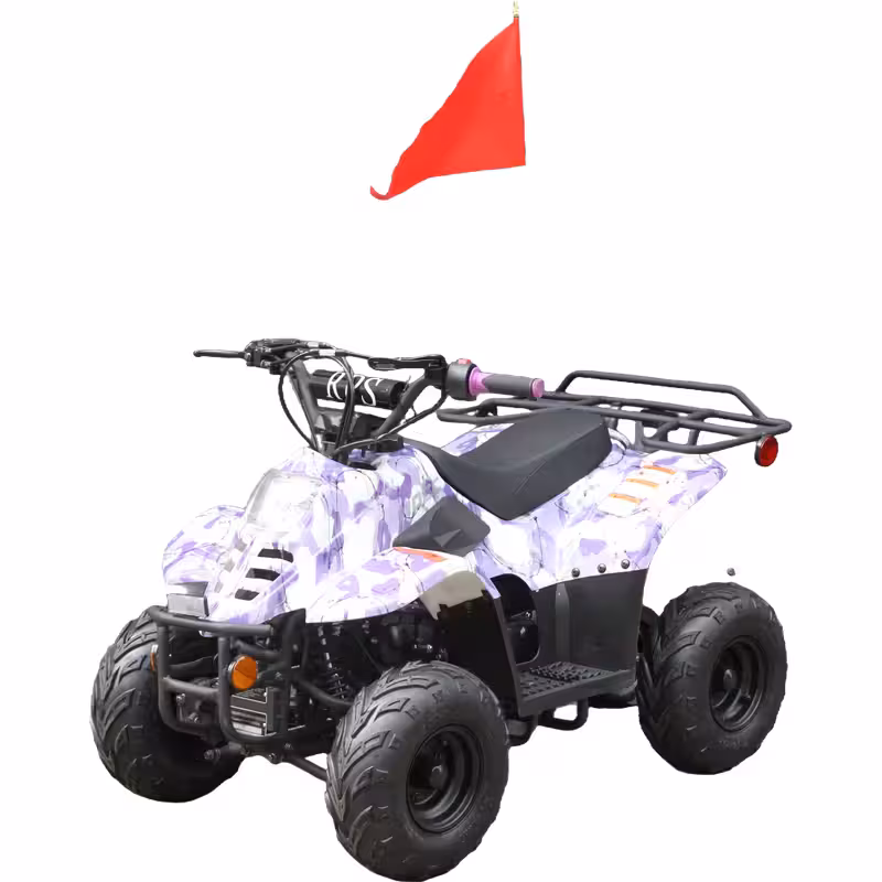 110cc Gasoline ATV Front Drum Rear Disc Brakes 50km/h Max Speed 2.2L Fuel Tank