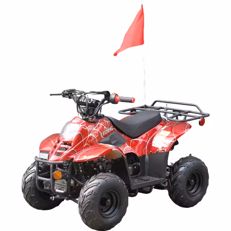 110cc Gasoline ATV Front Drum Rear Disc Brakes 50km/h Max Speed 2.2L Fuel Tank