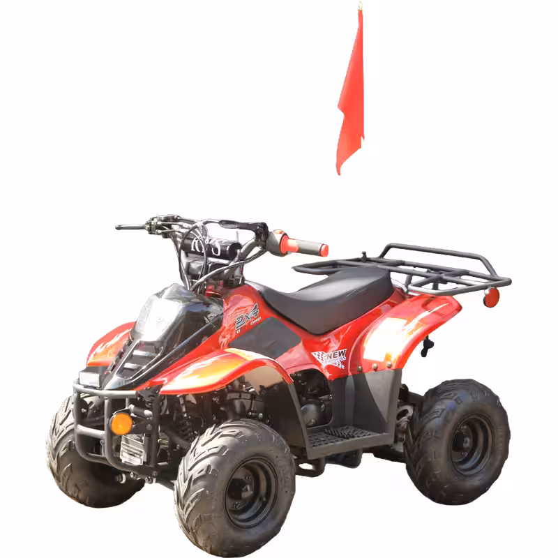 110cc Gasoline ATV Front Drum Rear Disc Brakes 50km/h Max Speed 2.2L Fuel Tank