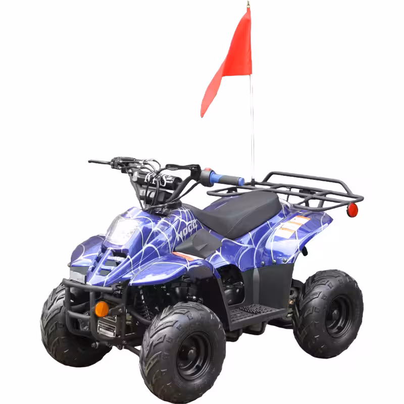 110cc Gasoline ATV Front Drum Rear Disc Brakes 50km/h Max Speed 2.2L Fuel Tank