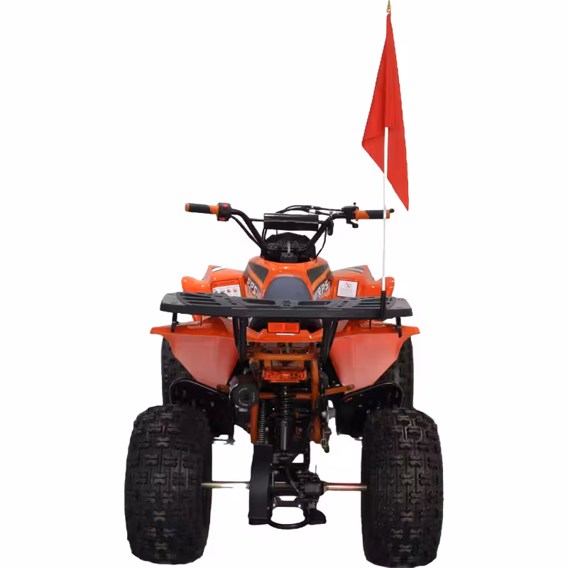 125cc Gasoline ATV Front Drum Rear Disc Brakes 60km/h Max Speed 2.2L Fuel Tank EFI