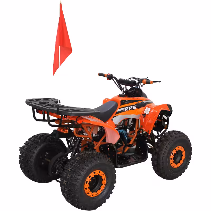 125cc Gasoline ATV Front Drum Rear Disc Brakes 60km/h Max Speed 2.2L Fuel Tank EFI