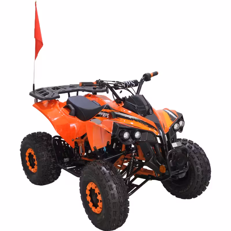 125cc Gasoline ATV Front Drum Rear Disc Brakes 60km/h Max Speed 2.2L Fuel Tank EFI